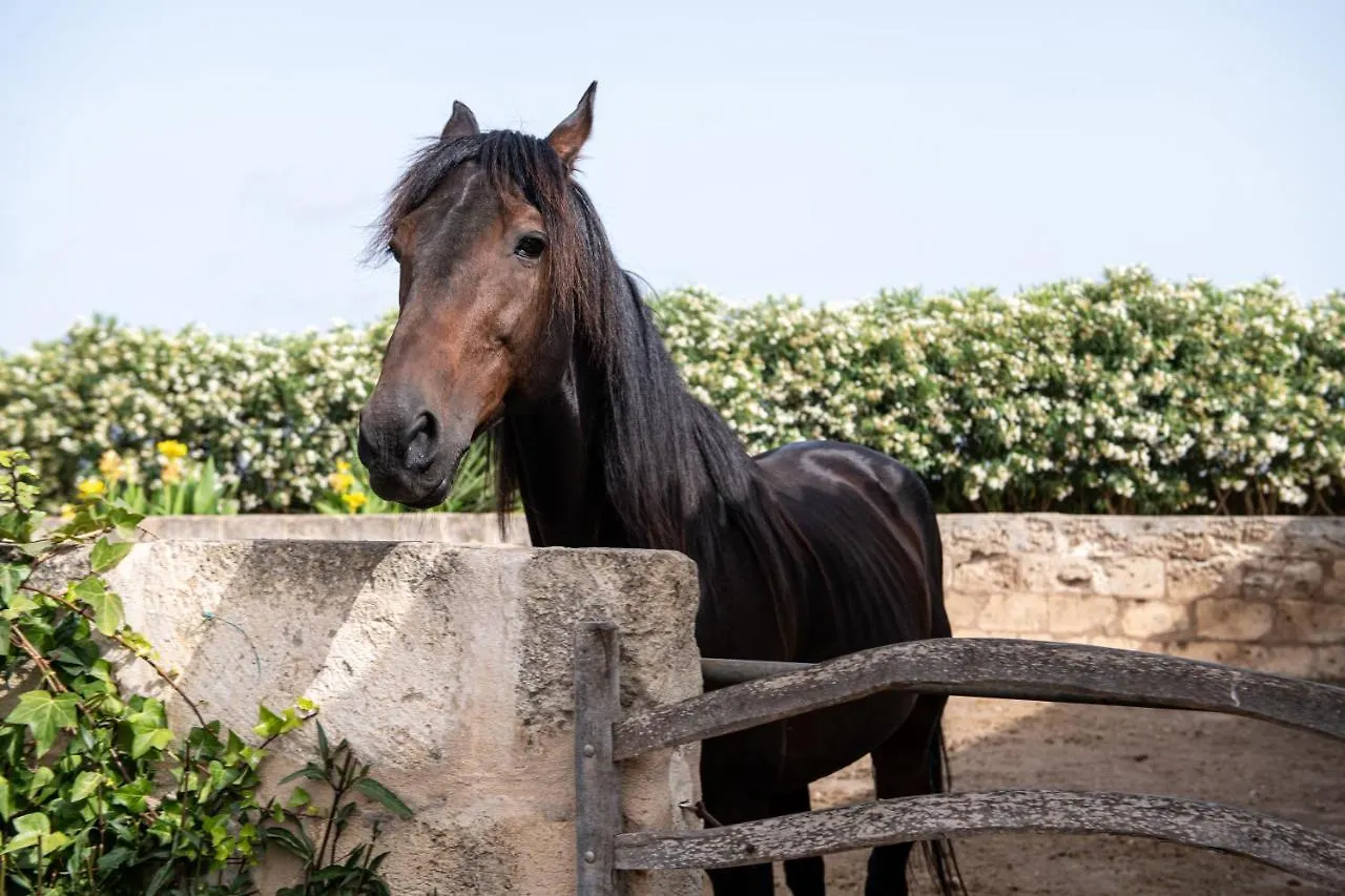 Agroturismo Son Juaneda Ciutadella  Ciutadella (Menorca)