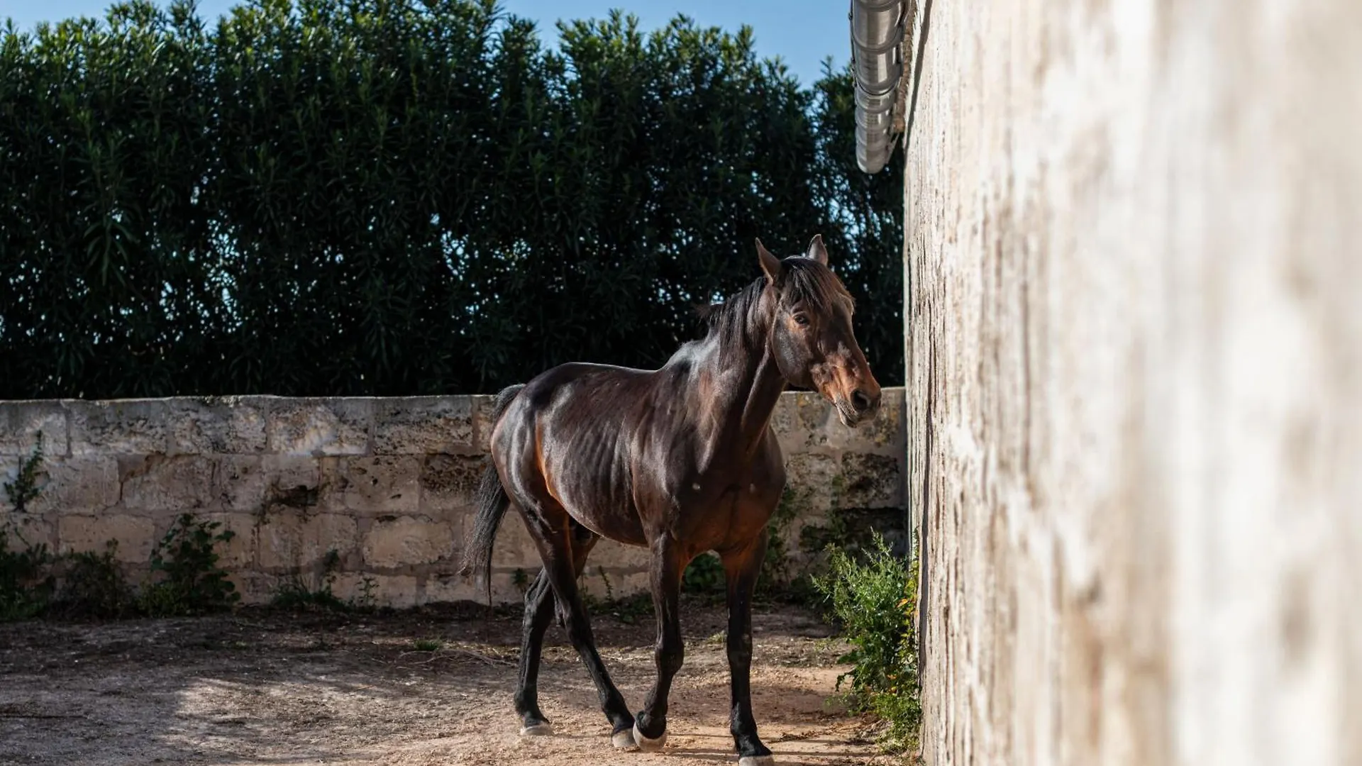Agroturismo Son Juaneda Ciutadella
